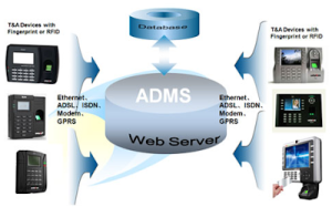 Software ADMS Solution